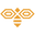 Apifera logo
